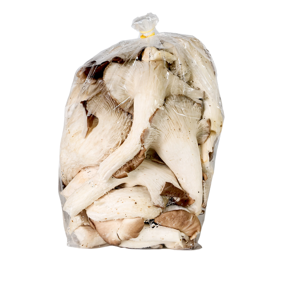 Alternative view of Nấm Sò Nâu 500g