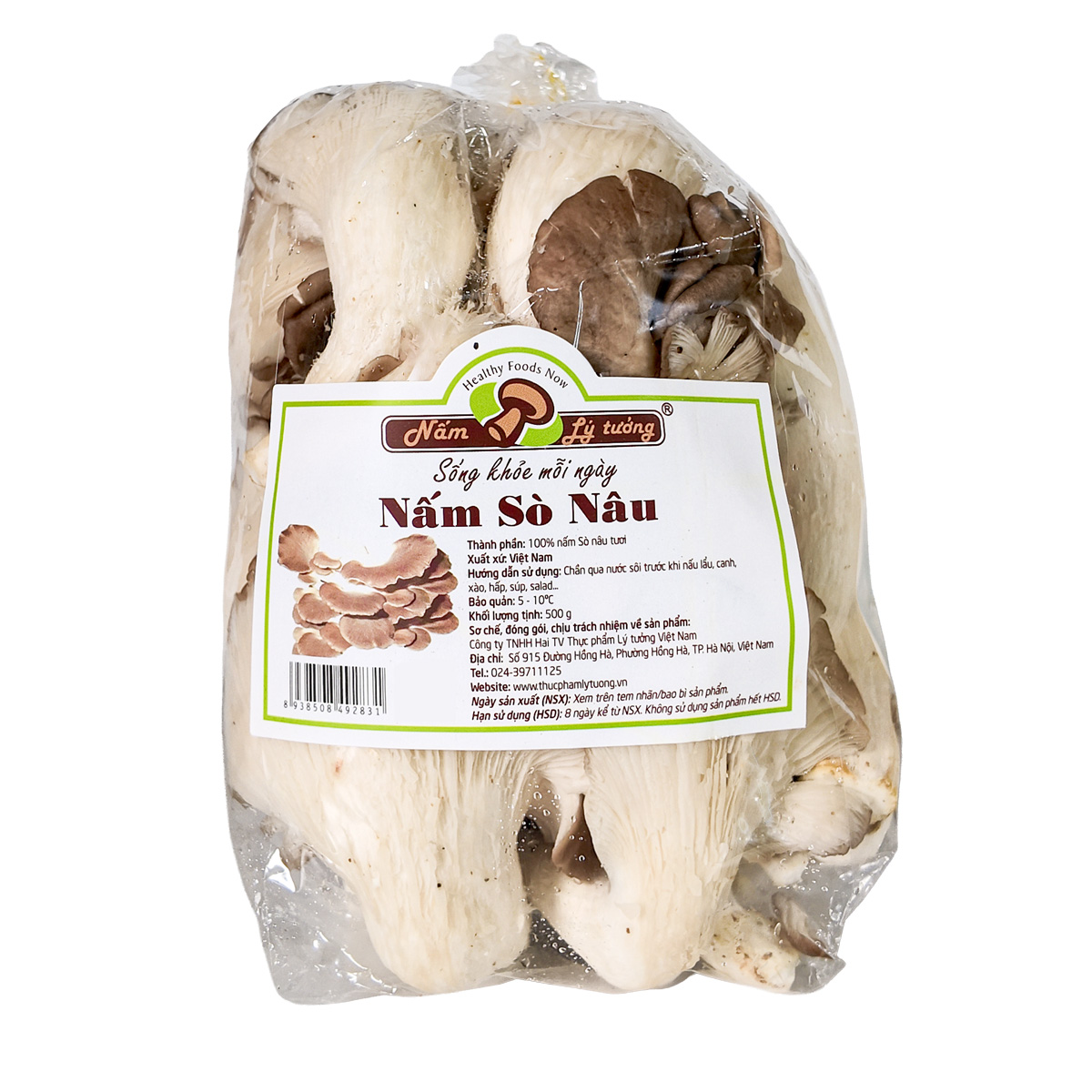 nấm sò nâu 500 g