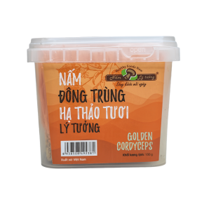 Ảnh ĐTHT tươi
