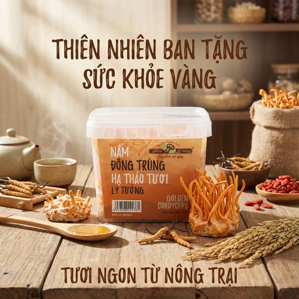 Nấm đông trùng hạ thảo Lý Tưởng