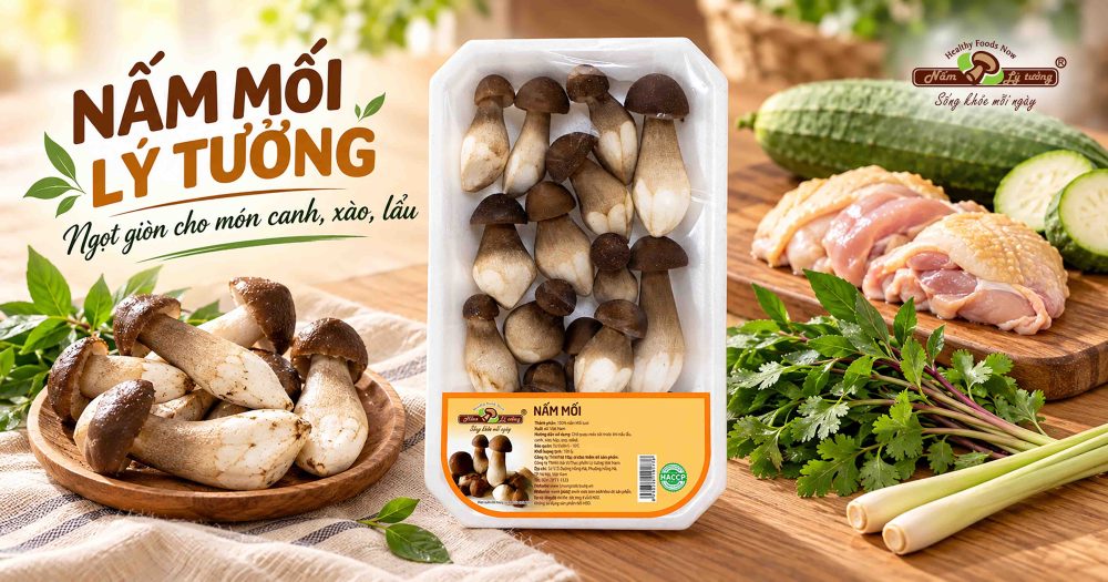Nấm mối Lý Tưởng chất lượng chuẩn siêu thị
