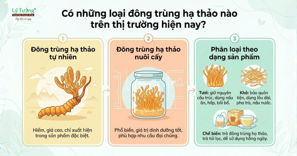mô phỏng các loại đông trùng hạ thảo