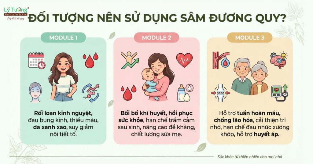 Đối tượng nên sử dụng sâm đương quy