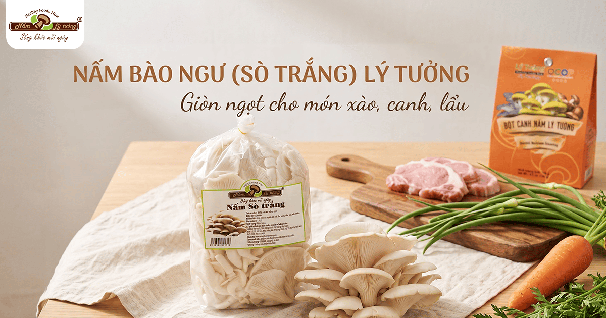 Nấm bào ngư Lý Tưởng